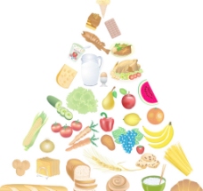 小麦食物金字塔矢量素材图片