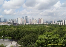 鸟瞰深圳中心公园及岗厦图片