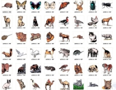 矢量动物图图片