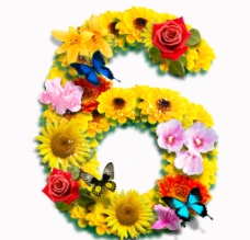 数字合成PSD花朵合成数字6图片