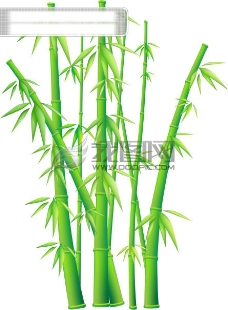 树木竹子素材