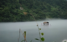 小东江的雾图片
