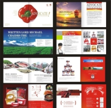 企业画册食品画册图片