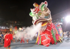 狮艺舞狮红南狮中国传统文化表演艺术瑰宝节庆华人狮子liondance图片