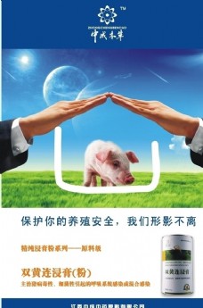猪养殖产品广告
