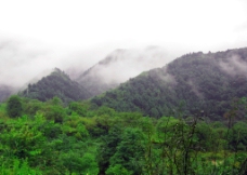 山西省陕西省凤县紫柏山风景区初秋雨后云雾缭绕的景色图片