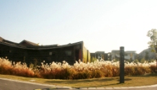 中国美术学院秋天景色图片