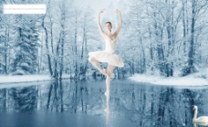 天鹅湖 芭蕾美女图片