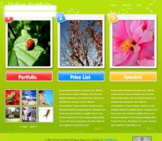 风景介绍网页设计图片