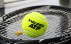 海德HEADatp网球图片