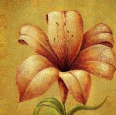 花卉油画5513 (50厘米X50厘米)