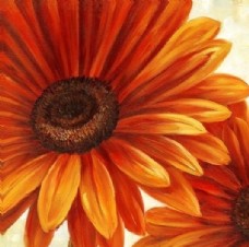 花卉油画5512 (50厘米X50厘米)